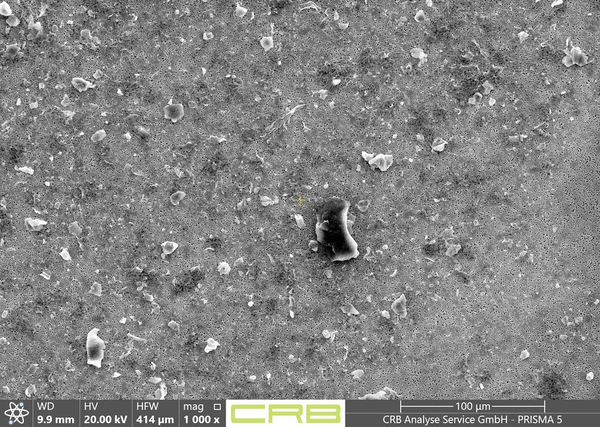 stesso campione dopo il trattamento acido su un filtro a pori nucleari vaporizzato in oro