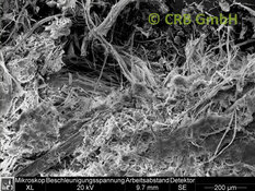 Image REM Chrysotile dans du sable cinétique | © CRB Analyse Service GmbH