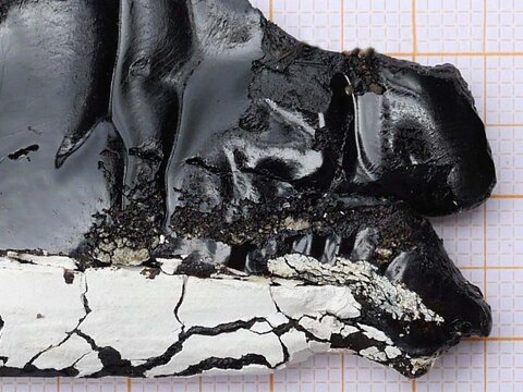 Asbestos analysis of asbestos bearing sealing masses | © CRB Analyse Service GmbH