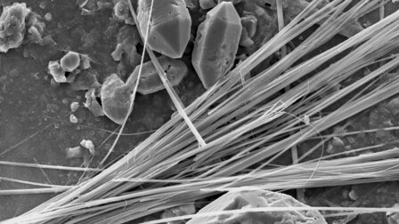 Anfibolasbestos, tremolite in gesso - bassa risoluzione HD: 2576 x 1936 px /Dimensione file circa 4,8 MB | © CRB Analysis Service GmbH