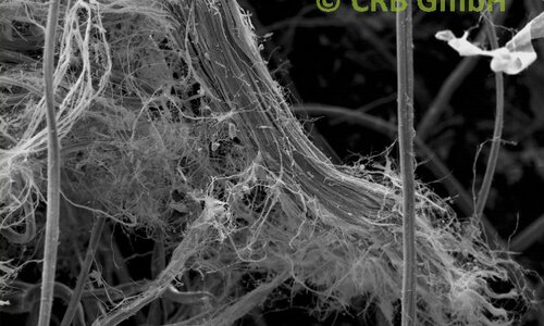 MEB imagen de amianto crisotilo en fieltro | © CRB Analysis Service GmbH