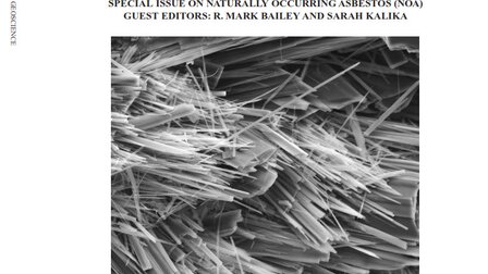 Copertina dell'edizione speciale del Journal of Environmental and Engineering Geoscience (E&EG) dedicata al tema "Amianto naturale (NOA)". | © Journal of Environmental and Engineering Geoscience (E&EG) 